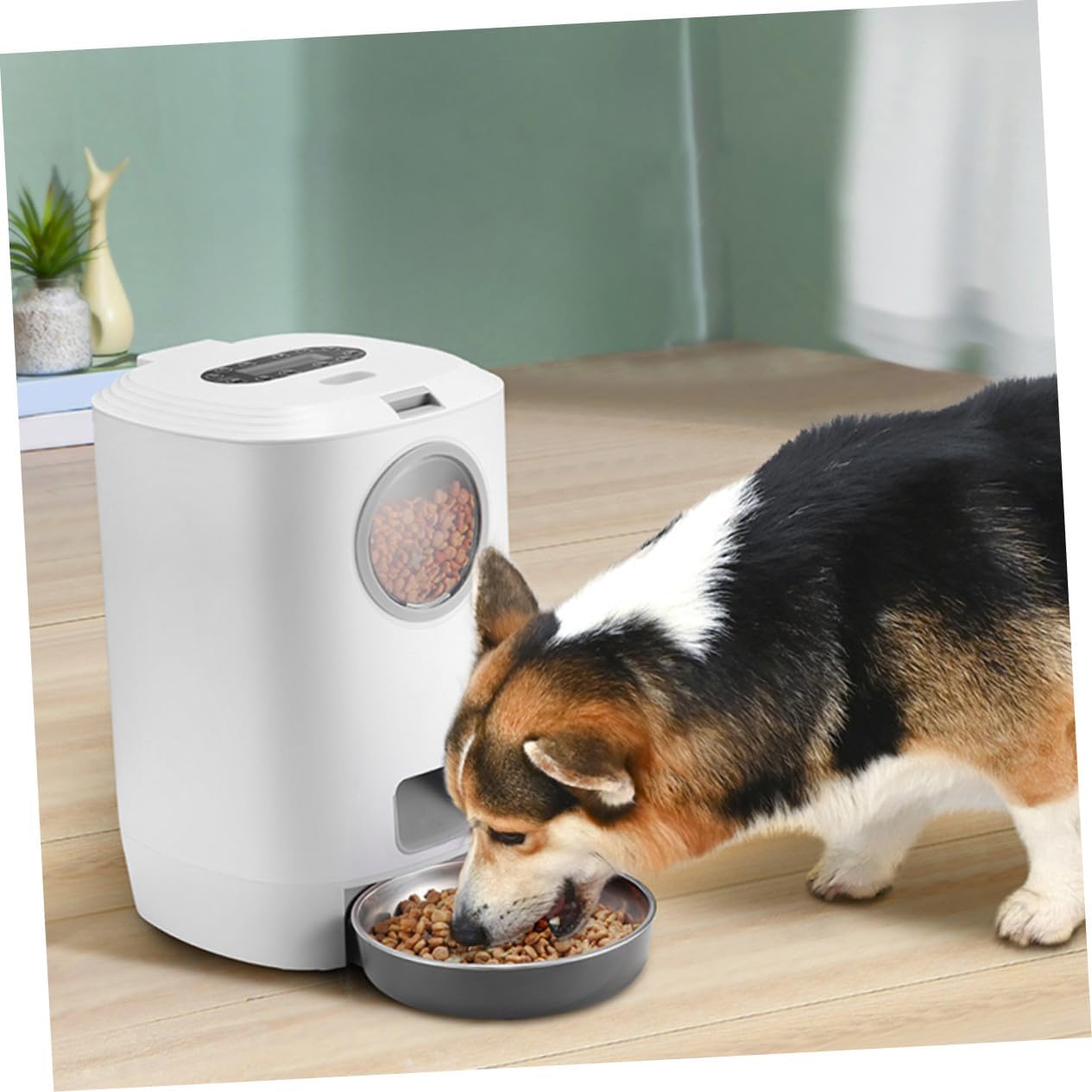 Automatic Pet Feeder for Cats Dogs Rabbits Smart Programmable Dry Food Dispenser with Voice Recording and Timed Feeding Detachable Easy-Install Pet Feeding Container