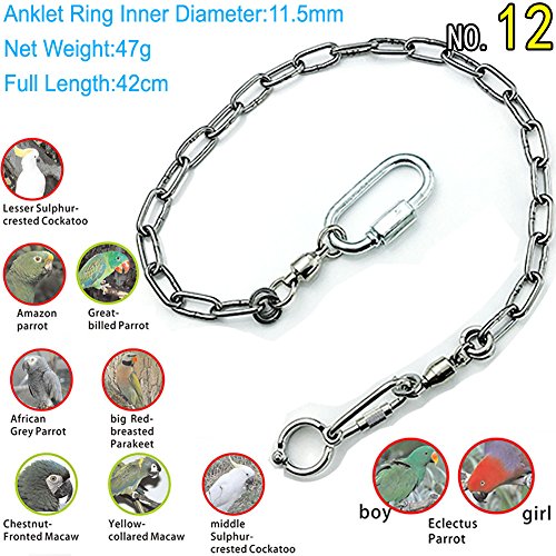 ebamaz Edelstahl Papageien Fußkette für kleine mittelgroße und große Vögel für Haustier-Training(Nr. 12 (11,5 mm))
