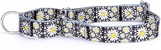 Bbmmayy Martingale Dog Collars -Adjustable Soft Dog Collar.Colorful Flower Multicolor Cute Patterns for Puppies for Medium Large Dogs Walking Running Training (L:for 45-53cm Neck, Little Daisy)
