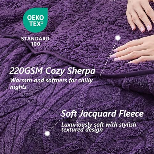 Image of Mr. Sandman Fleece Weighted Blanket for Adults Queen Size 15lbs, Heavy Throw Bed Blankets for Sleep and Calm, Soft Warm Sherpa Blanket for Winter, 60 x 80 Inches, Dark Purple