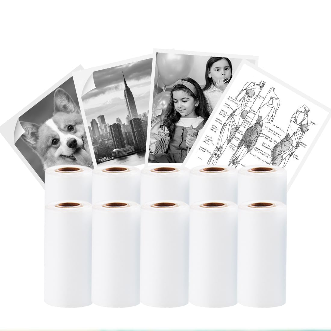 Lot De 10 Rouleaux Papier Thermique 57x30 Mm - Pour Mini Imprimante Portable - 5 Autocollants + 5 Normaux - Compatible Vretti TP6, TP2-Y
