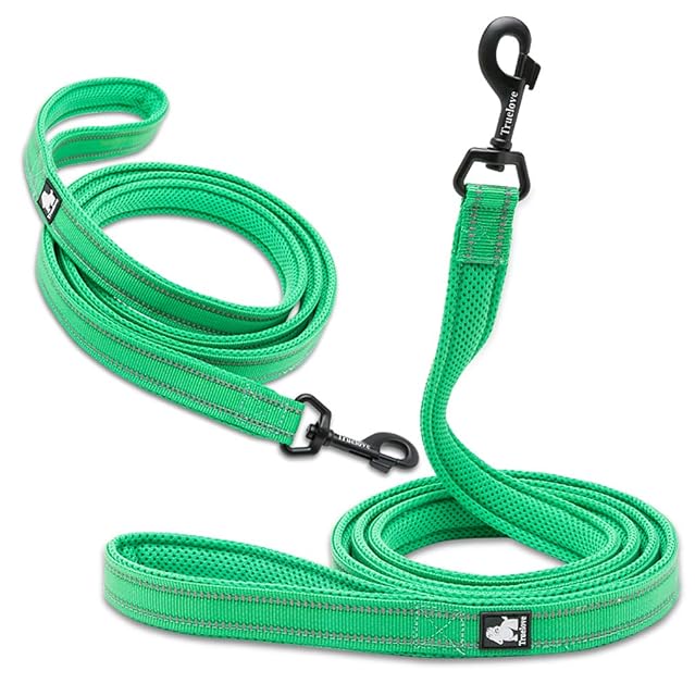 Foto 3 de 7 de WINHYEPET True Love Correa para Perro Nylon Reflectante Mango cómodo Plomo Entrenamiento para Cachorros…