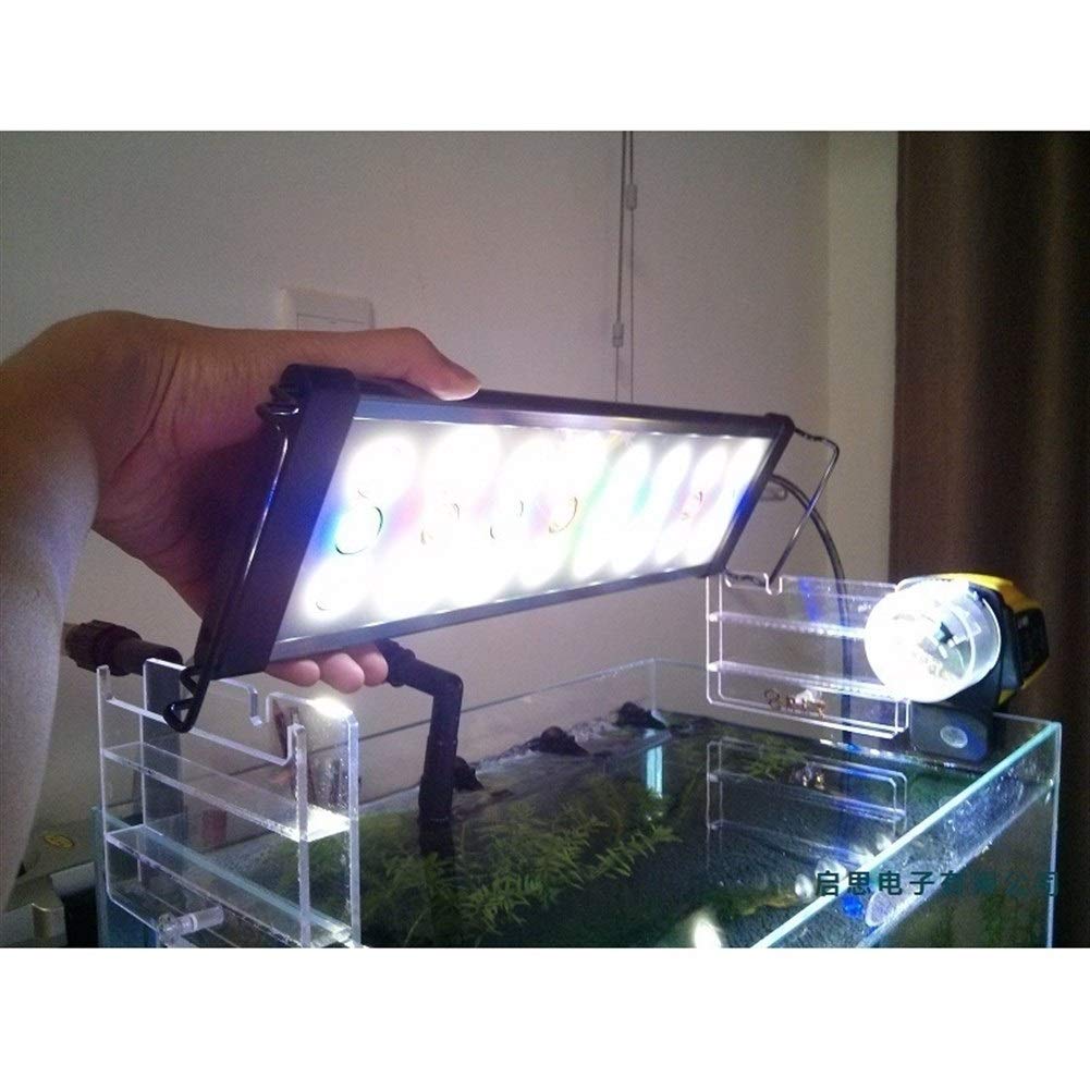 KUANGQIANWEI Luz de acuario 1W Lámpara de luz LED grande 2 Modo 40cm 50cm 60cm 90cm Blanco + Azul + Verde + Rojo Plantado Luz de acuario Led acuario (Color : D900 90 100cm tank)