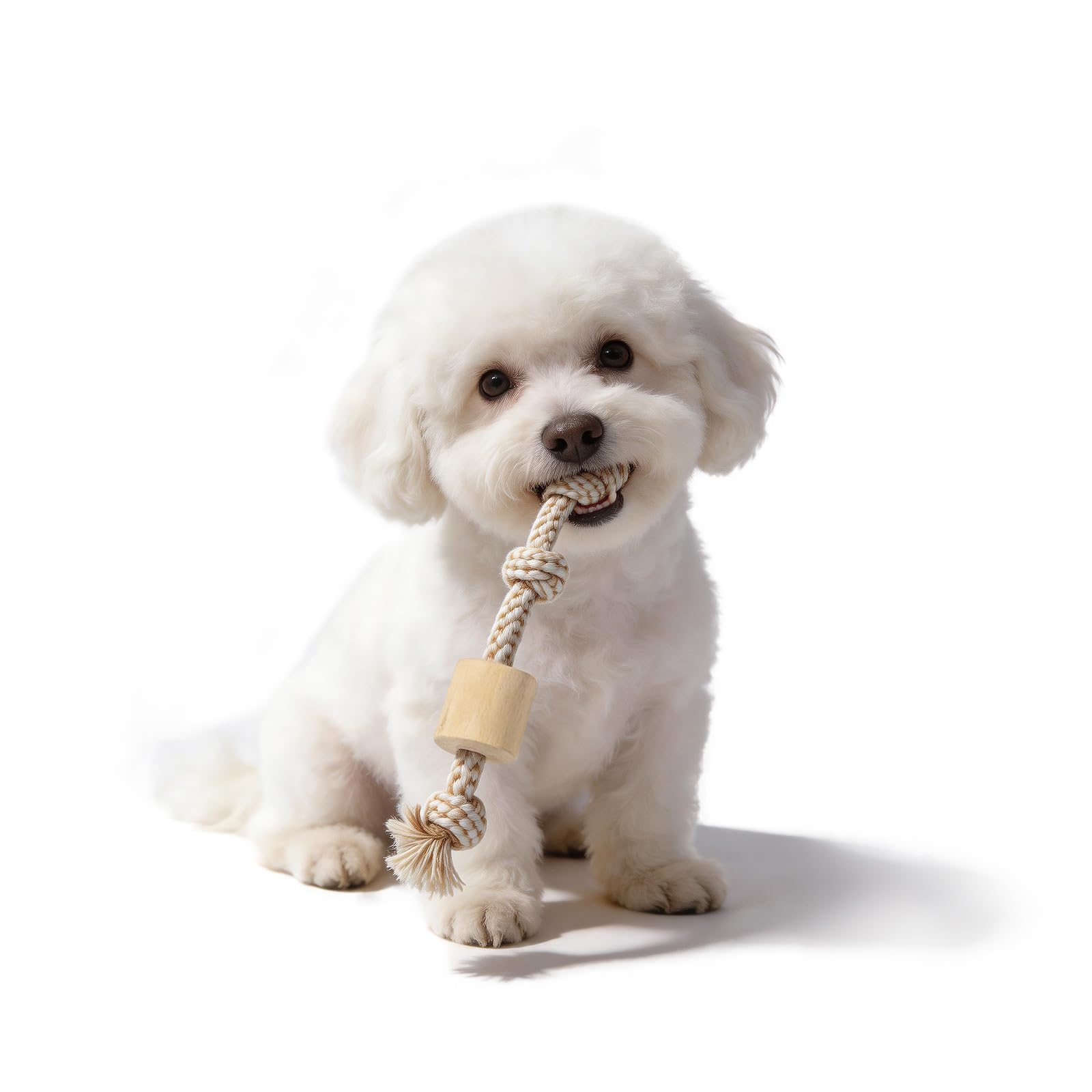 犬噛むおもちゃ ロープ付きコーヒー木 知育玩具 コーヒーの木 麻 歯清潔 Amazon | SCHITEC 犬 おもちゃ ロープ 噛む コーヒーの木（小型犬に