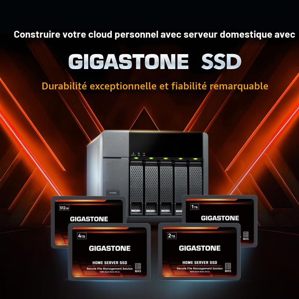 Gigastone Serveur SSD 1To NAS SSD Cache 24h/24 et 7j/7 TLC Haute Endurance Business Secure Personal Cloud Créatif Professionnel Réseau Attaché Stockage Raid 2,5" SATA Disques durs internes SSD