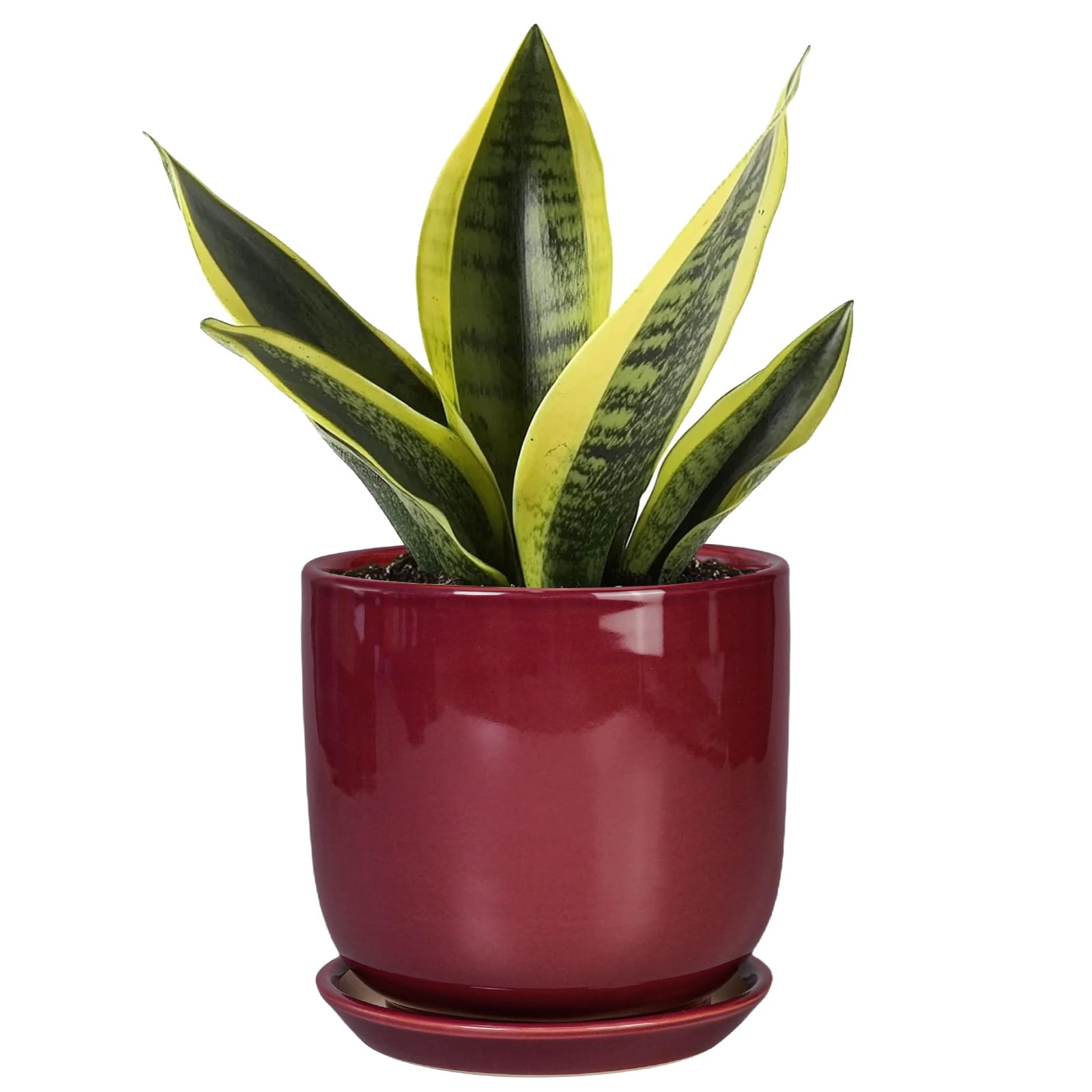 SUNPOTFOR 5 Inch Planter