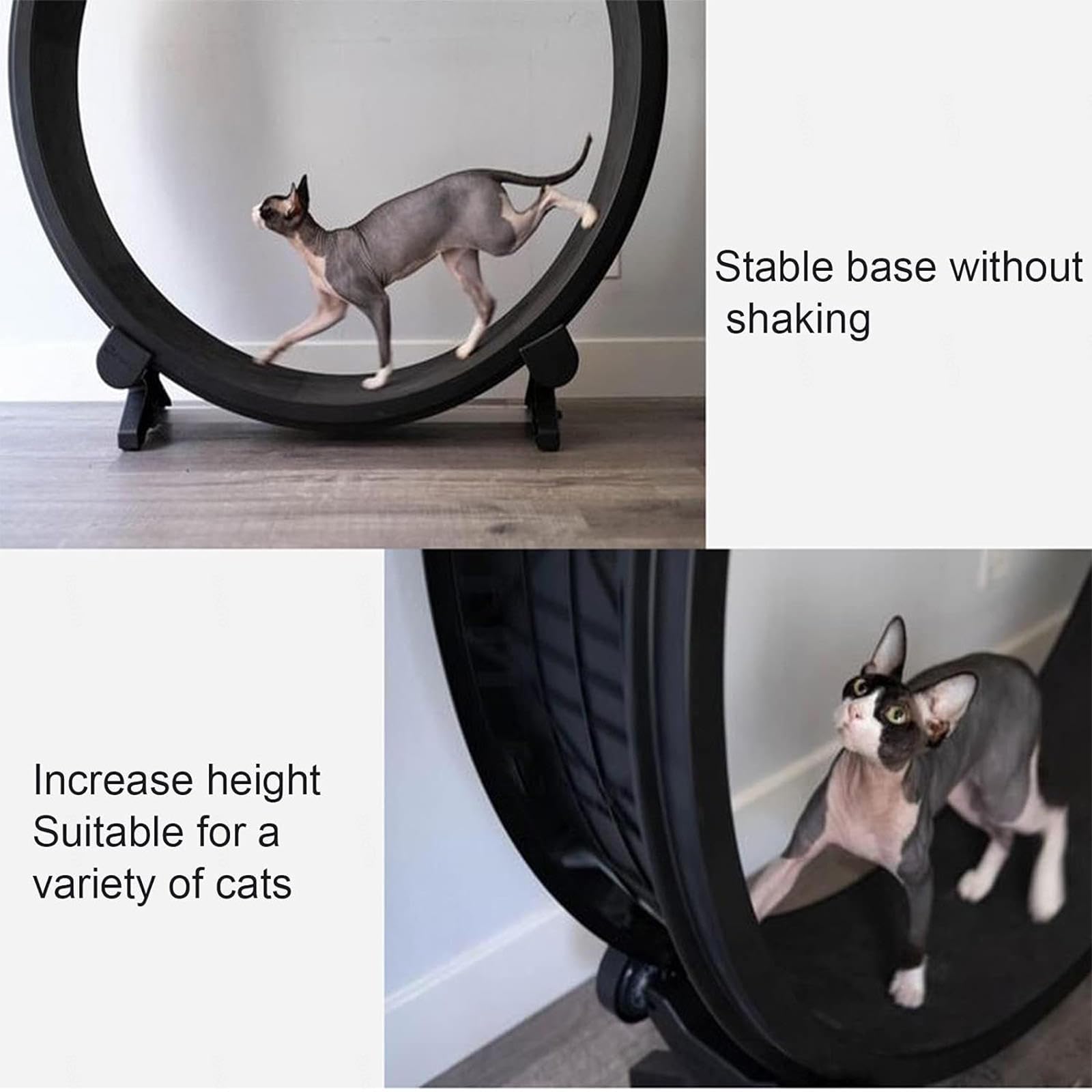 Amazon.co.jp: 猫トレッドミル、猫エクササイズホイール、ペット