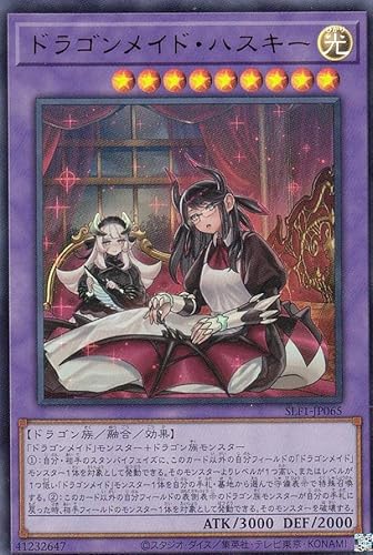 yVKCXgŁzVY SLF1-JP065 hSChEnXL[ ({ EgA) SELECTION 5