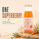 Kalpveda Himalayan Sea Buckthorn Pulp Juice 300ml | Vitamin C, Omega 3 6 7 9 & Antioxidants | Supports Immunity, Gut Health & Skin Wellness | Glass Bottle (Pack of 1) gallery image