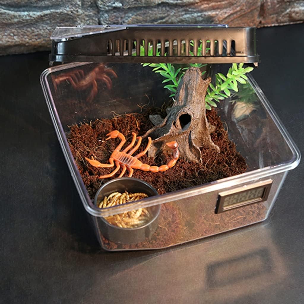 KIZQYN Tortuguera Terrario de Caja de Reptil de Reptiles for Mascotas for Tortuga Serpiente araña Serpiente Rana Tortuguero (Color : Wit)
