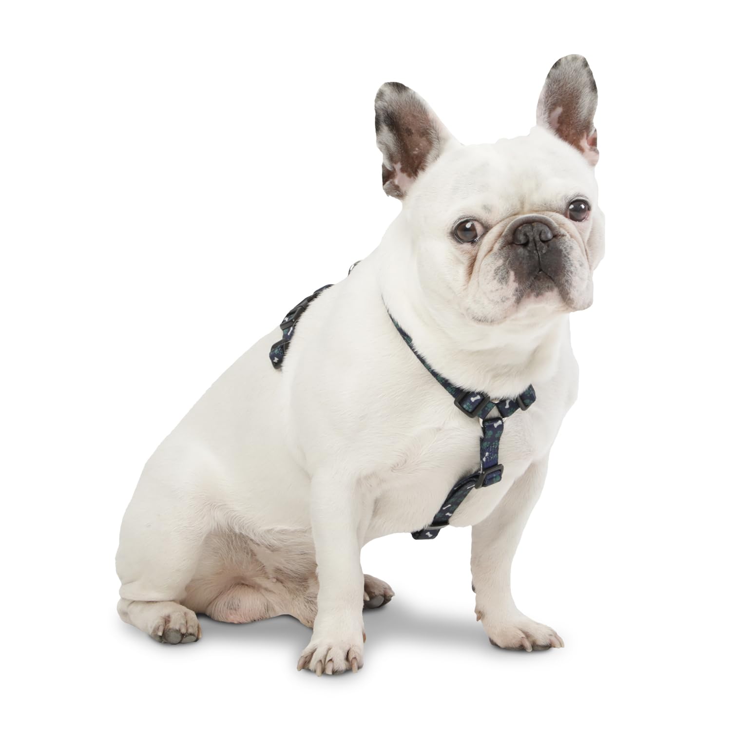 TOTTO, Small Dog Harness, Model Figgo, Size S, Dog Breastplate, H-Type Design, Adjustable, Reduces Pressure in Trachea - Image 2