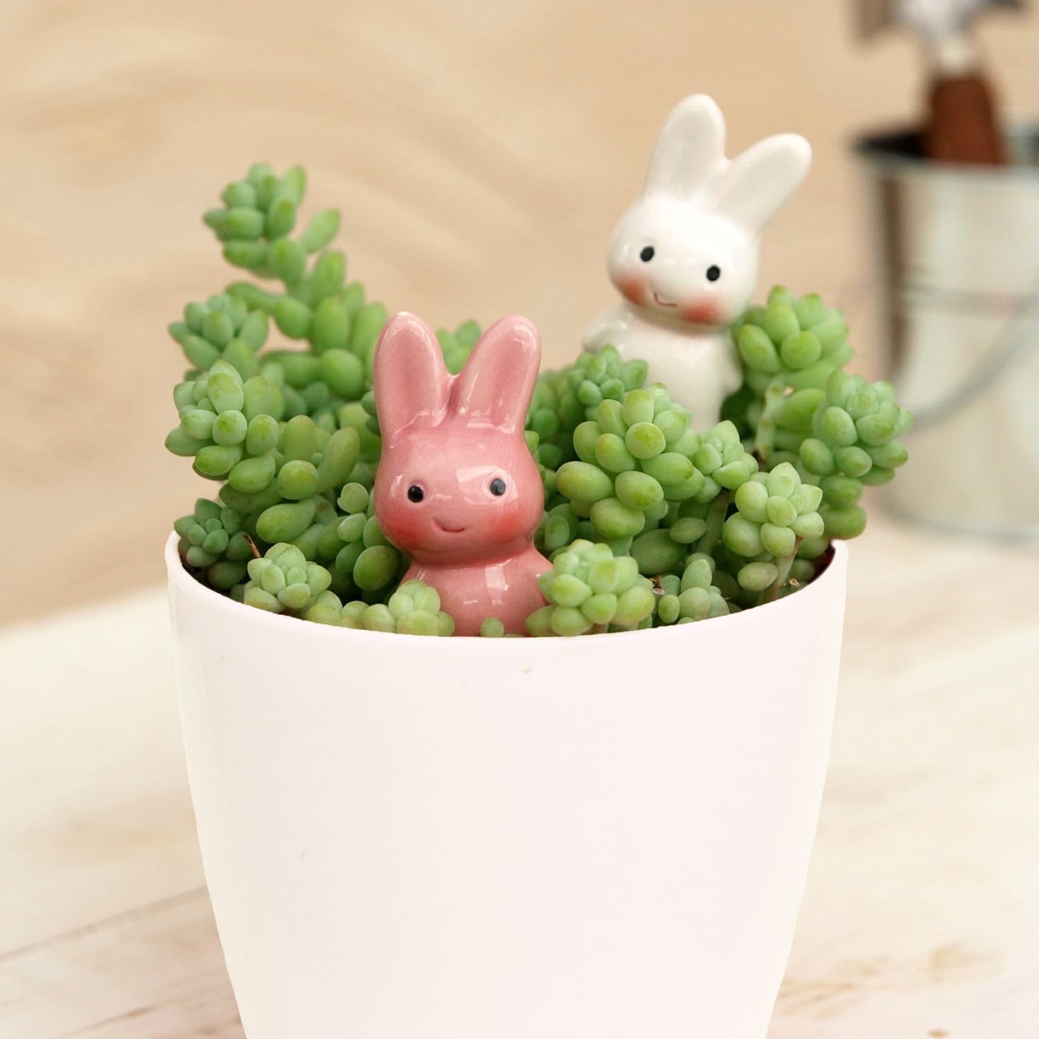 多肉寄せ植え◆うさぎとヤギ◆そのまま飾れます 多肉寄せ植え◇うさぎとヤギ◇そのまま飾れます