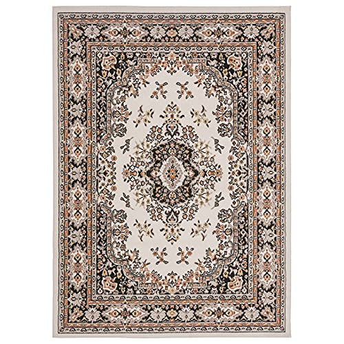 Home Dynamix 7069 Premium Sakarya Traditional Medallion Border Area Rug cover