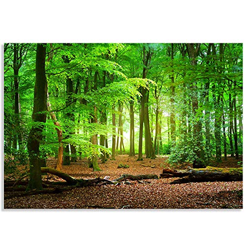 Signford Wall Mural Forest Removable Wallpaper Wall Sticker For Bedroom Living Room - 100X144 Inches #TOP1