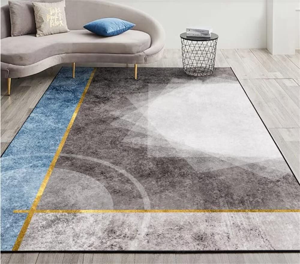 DJHWWD carpet rugs for living roomGray Rectangular Rug Bedroom Rug Living Room Rug Machine Washablerug for kitchenhouse decor accessoriesroom carpet50X80CM