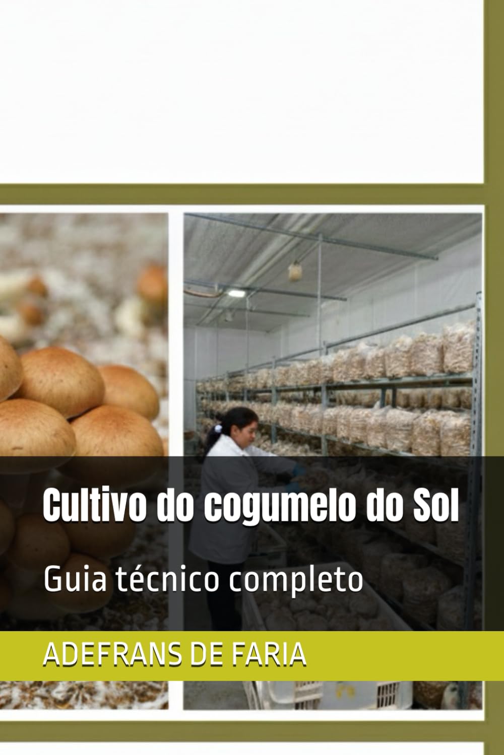 Cultivo do cogumelo do Sol: Guia técnico completo