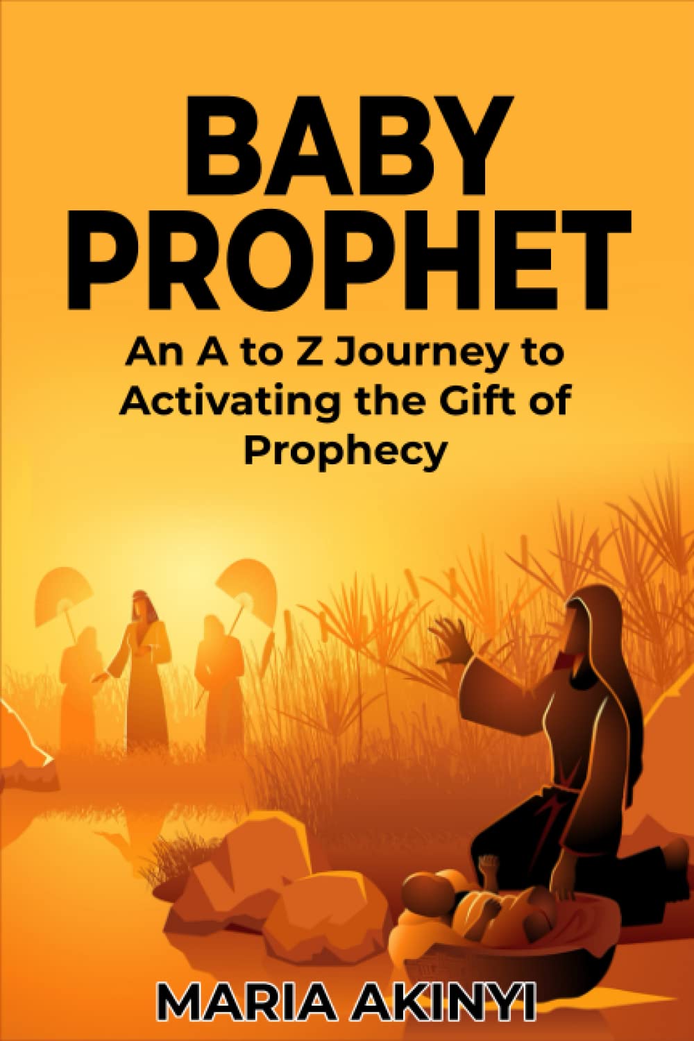 BABY PROPHET: An A to Z Journey to Activating the Gift of Prophecy