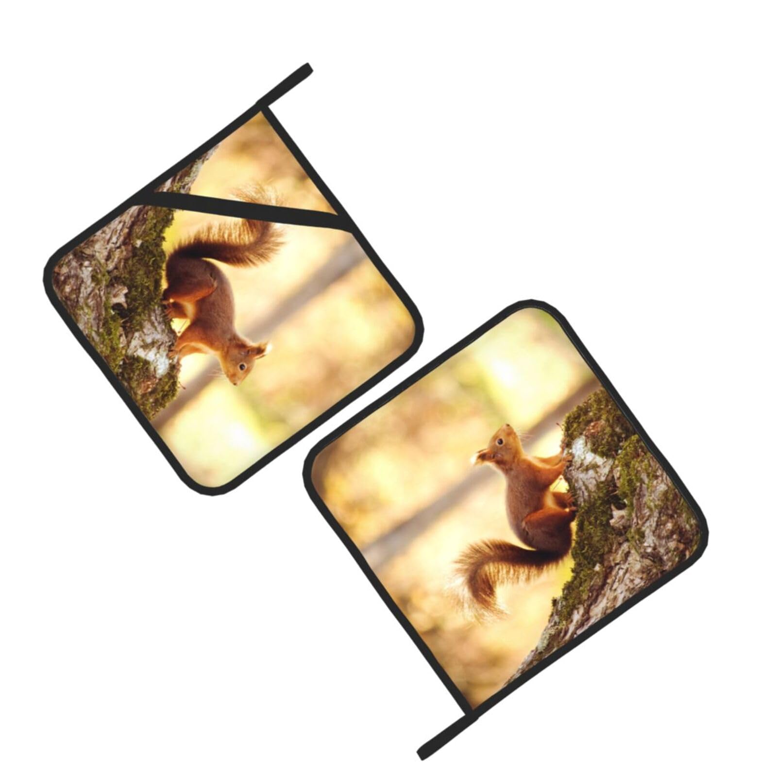 Funny Squirrel Printed Oven Pot Holders Set of 2 Pcs Heat Resistant Kitchen Microwave Potholders for Cooking Baking Grilling