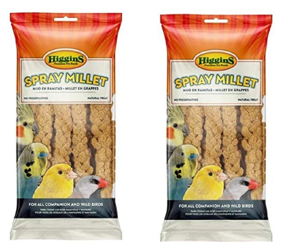 buy millet spray