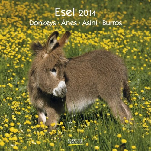 Esel 2014. Broschürenkalender Esel 2014. Broschürenkalender