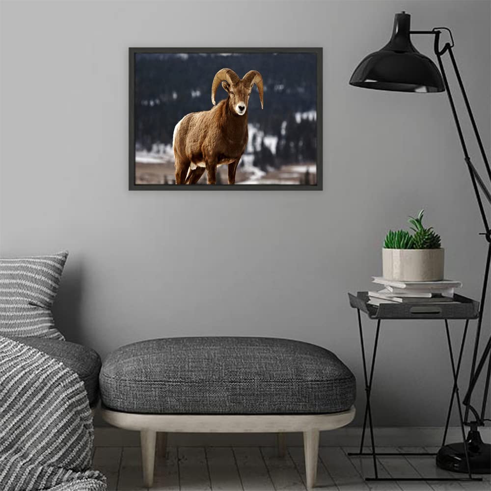VERRE ART Black Floater Framed Canvas - Wall Decor for Living Room, Bedroom, Office, Hotels, Drawing Room (22in X14in) - Bighorn Sheep