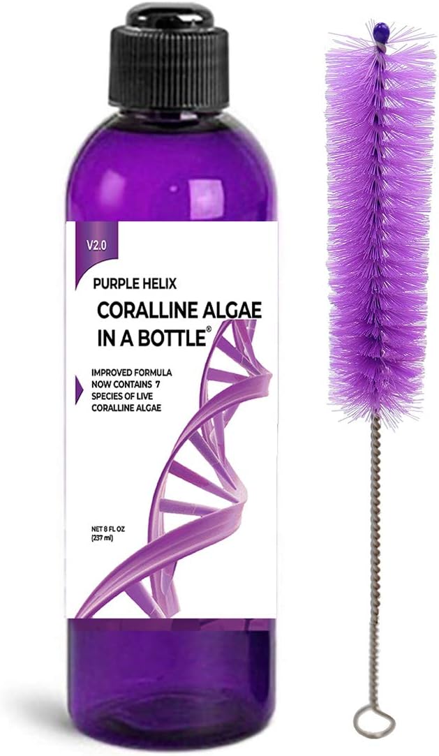 Coralline Algae in a Bottle Purple Helix Live Algae Spores for Saltwater Aquarium and Reef Tanks