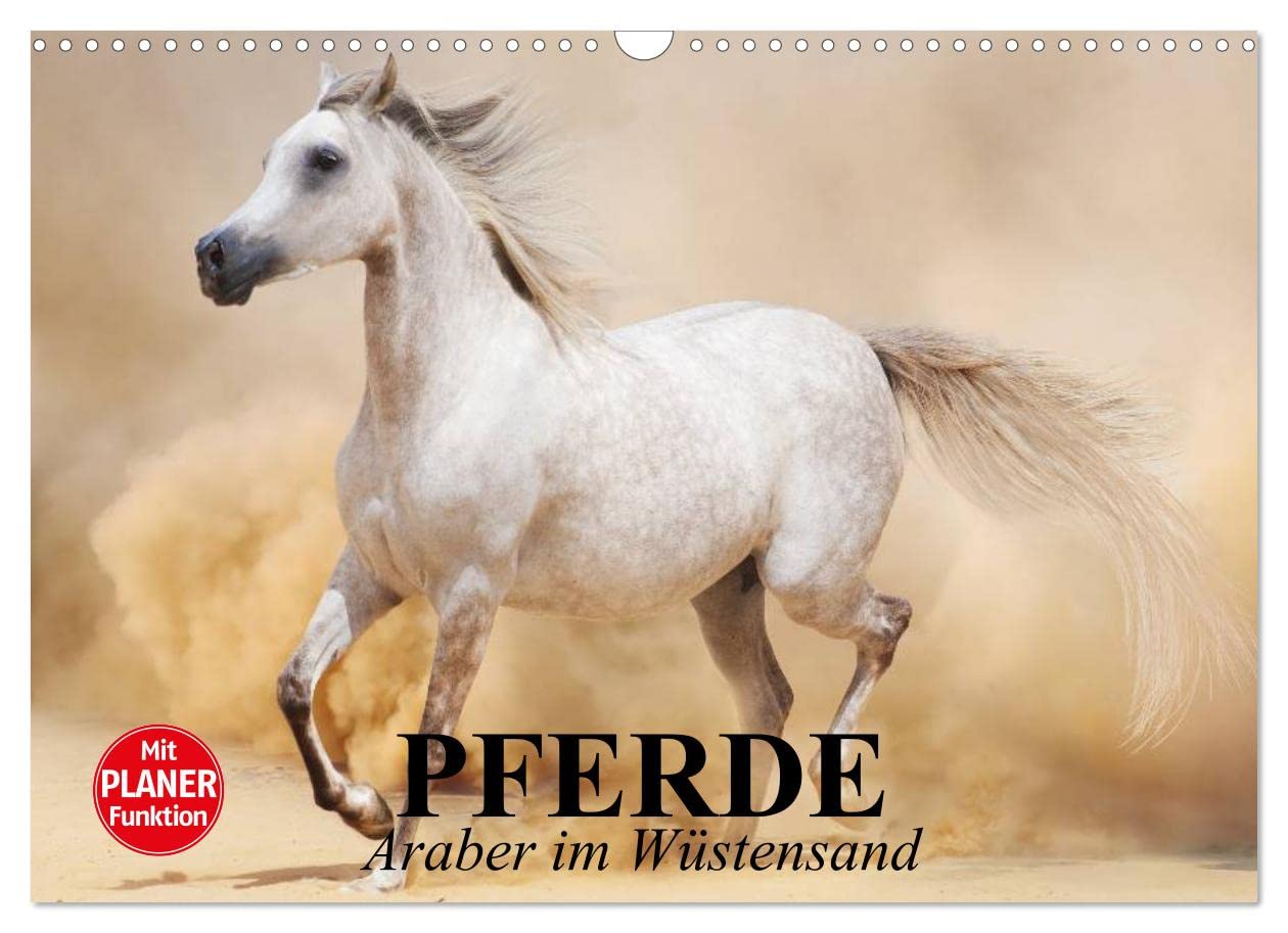 Pferde. Araber im Wüstensand (Wandkalender 2023 DIN A3 quer), Calvendo Monatskalender