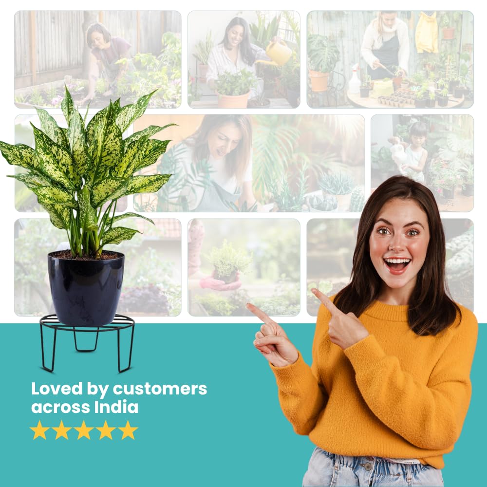 Black Metal Plant Stands - 5 Pack -9