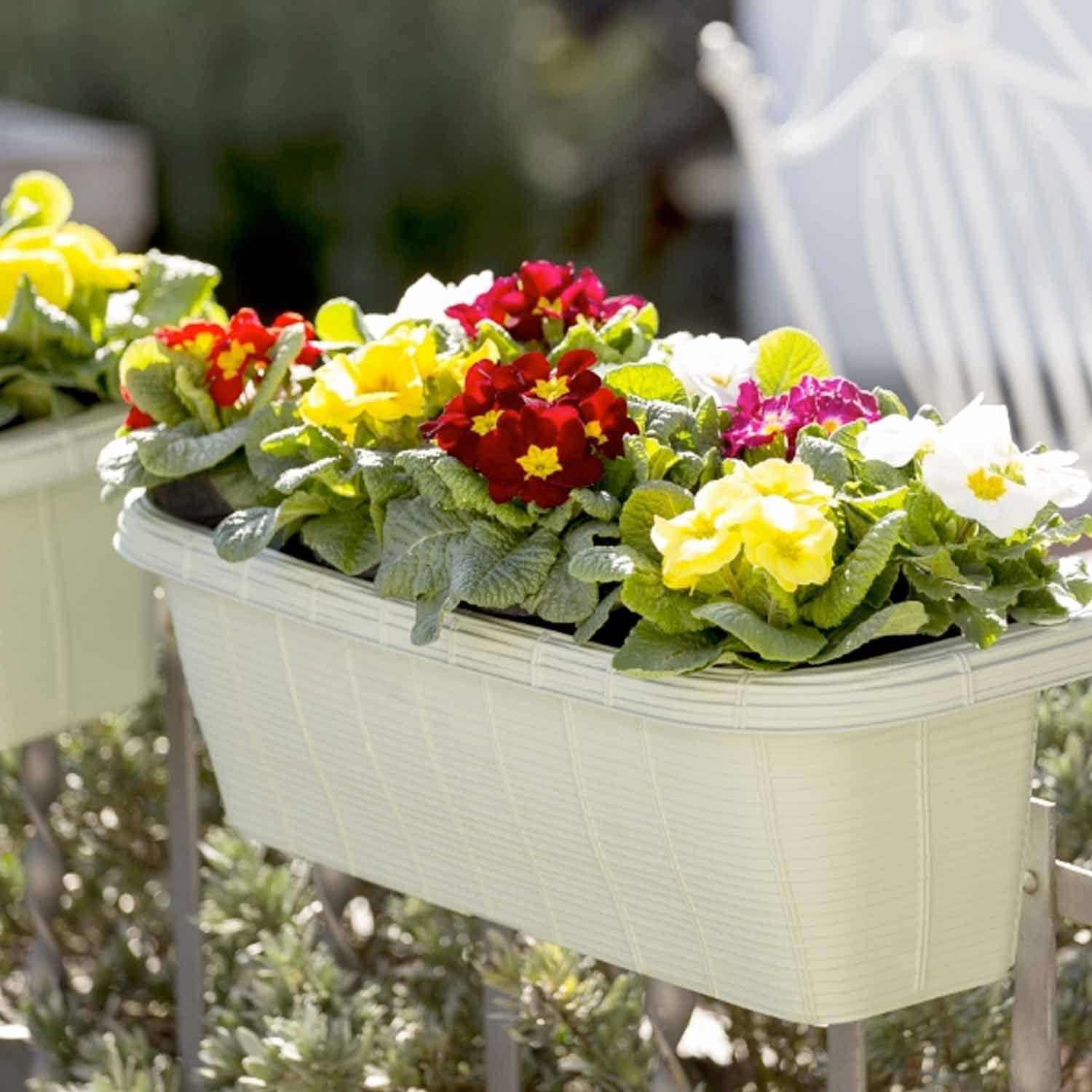 Rondine 50 - Set De 6 Balcons De 50cm Avec Crochets Réglables