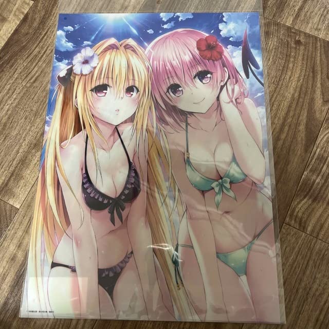 Amazon.co.jp: ToLOVEる ダークネス モモ ヤミ A3 クリアポスター : ホビー