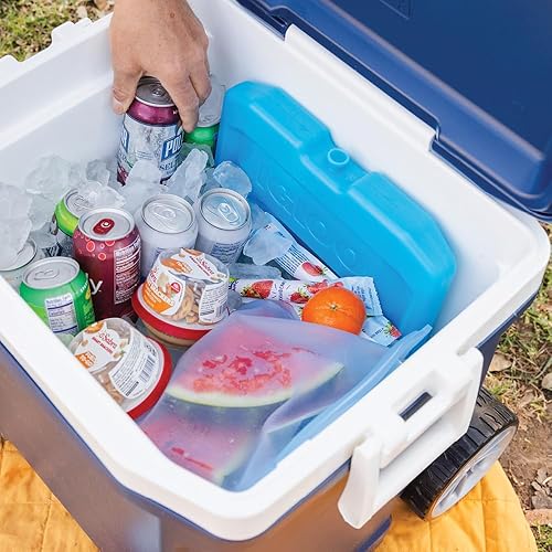 Miniatura 25 de Igloo Maxcold Ice Block Cubo