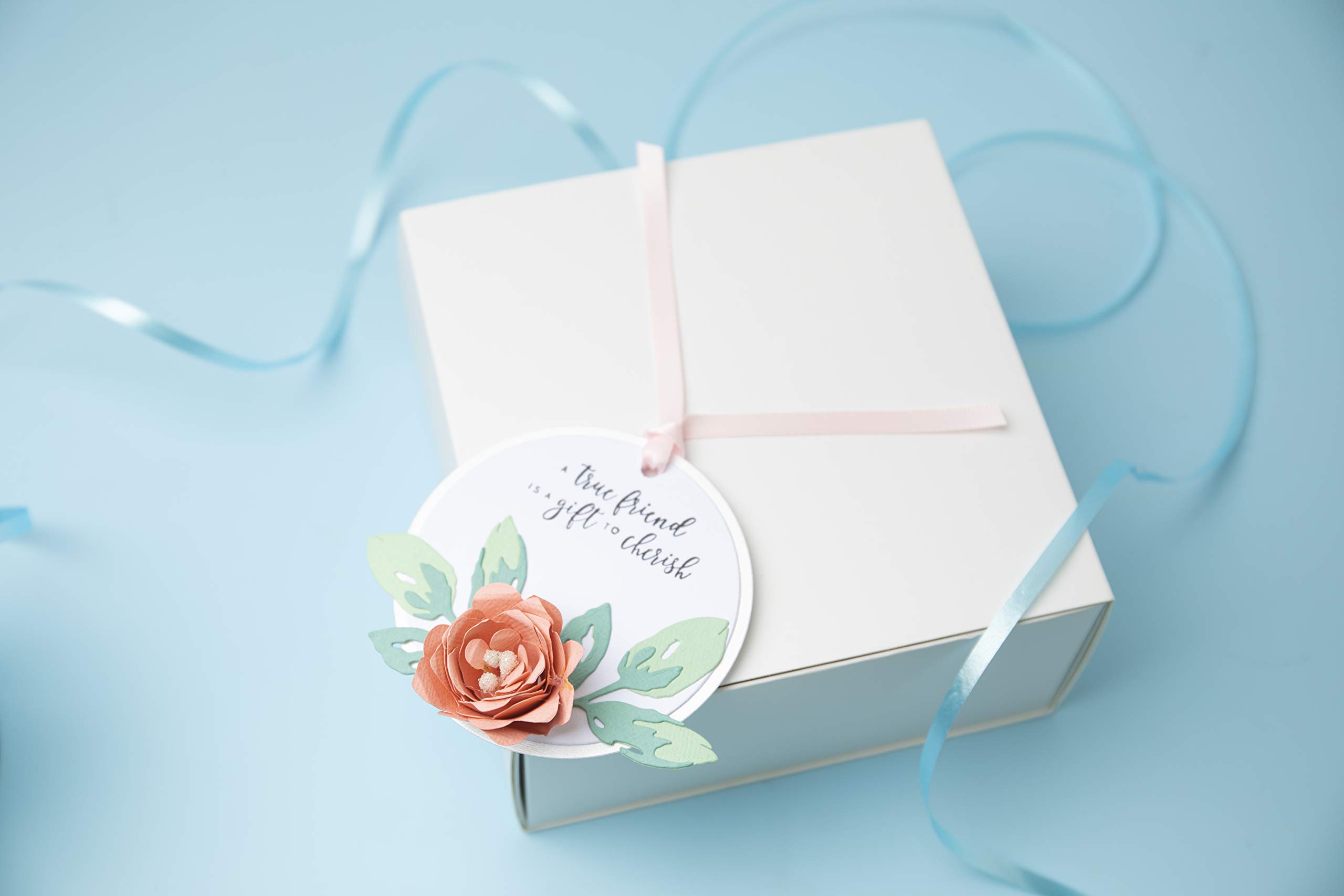 Sizzix Bigz Fustella, Taglia Unica, Grazia