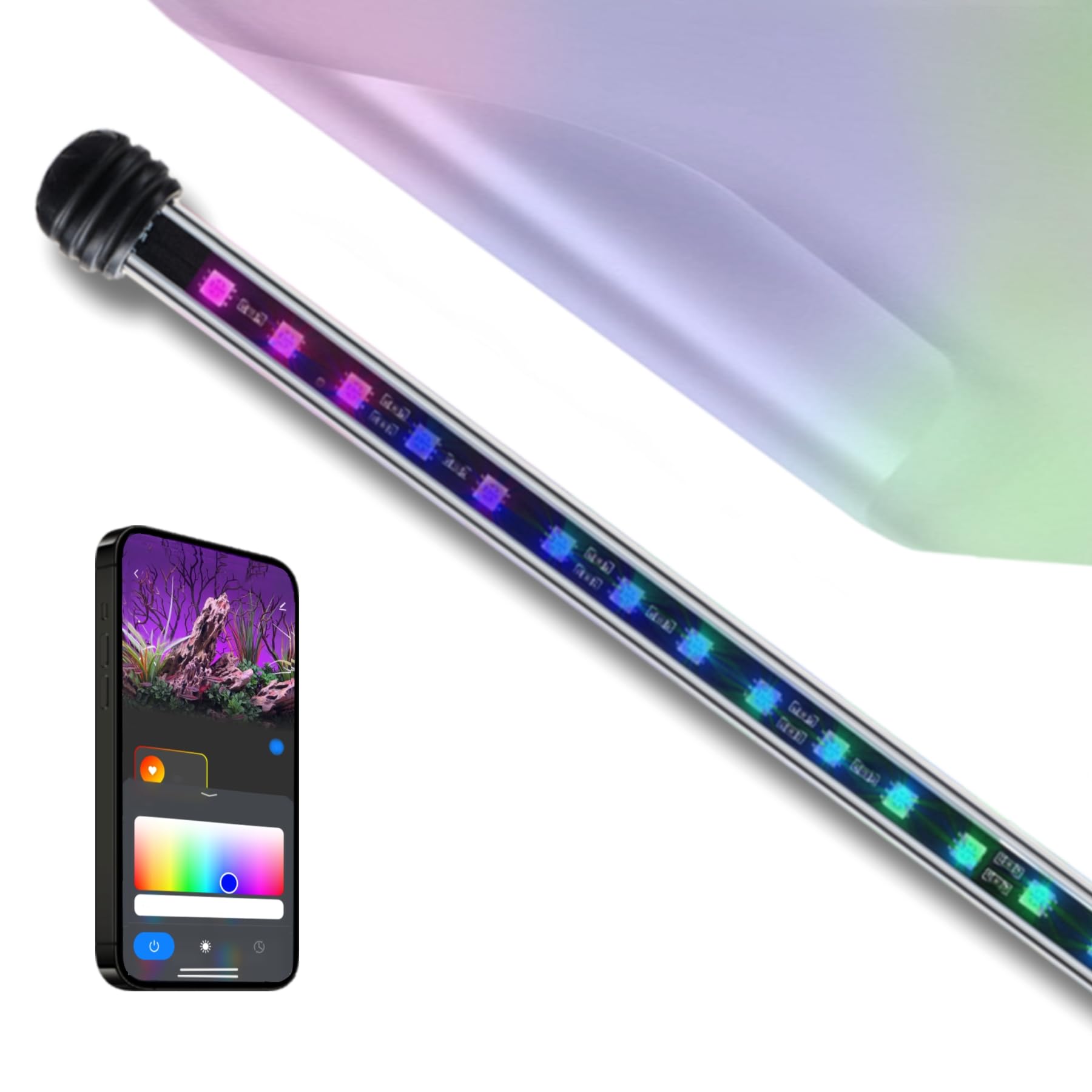 Lights - Camera - Start Bidding