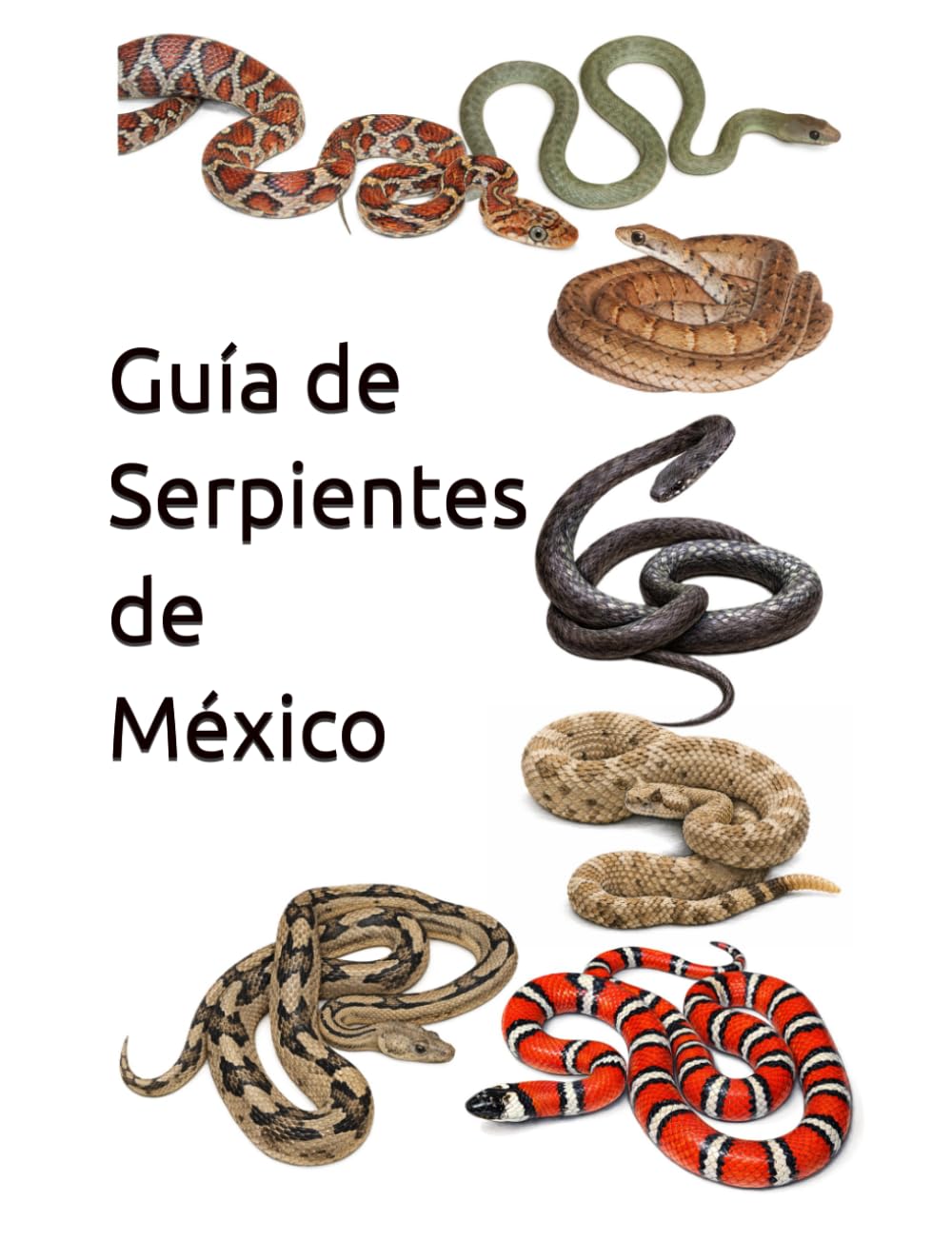 Guía de Serpientes de México