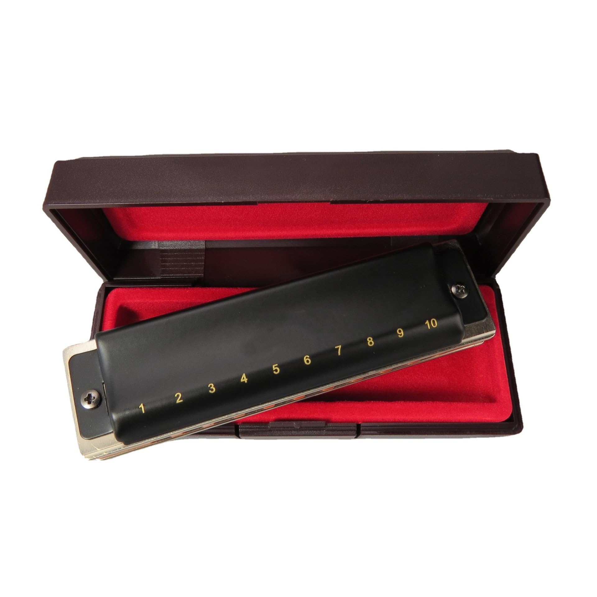 Mundharmonikas 10-Loch-Mundharmonika, professionelles Mundharmonika-Musikinstrument