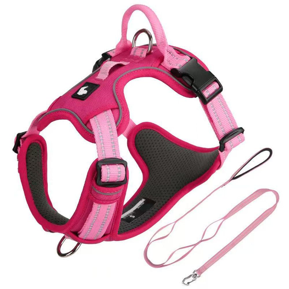 Questo set composto da pettorina e guinzaglio è progettato specificamente per i Saint Bernard. Include una pettorina regolabile e resistente alla trazione con un guinzaglio di 1,5 metri. red XL