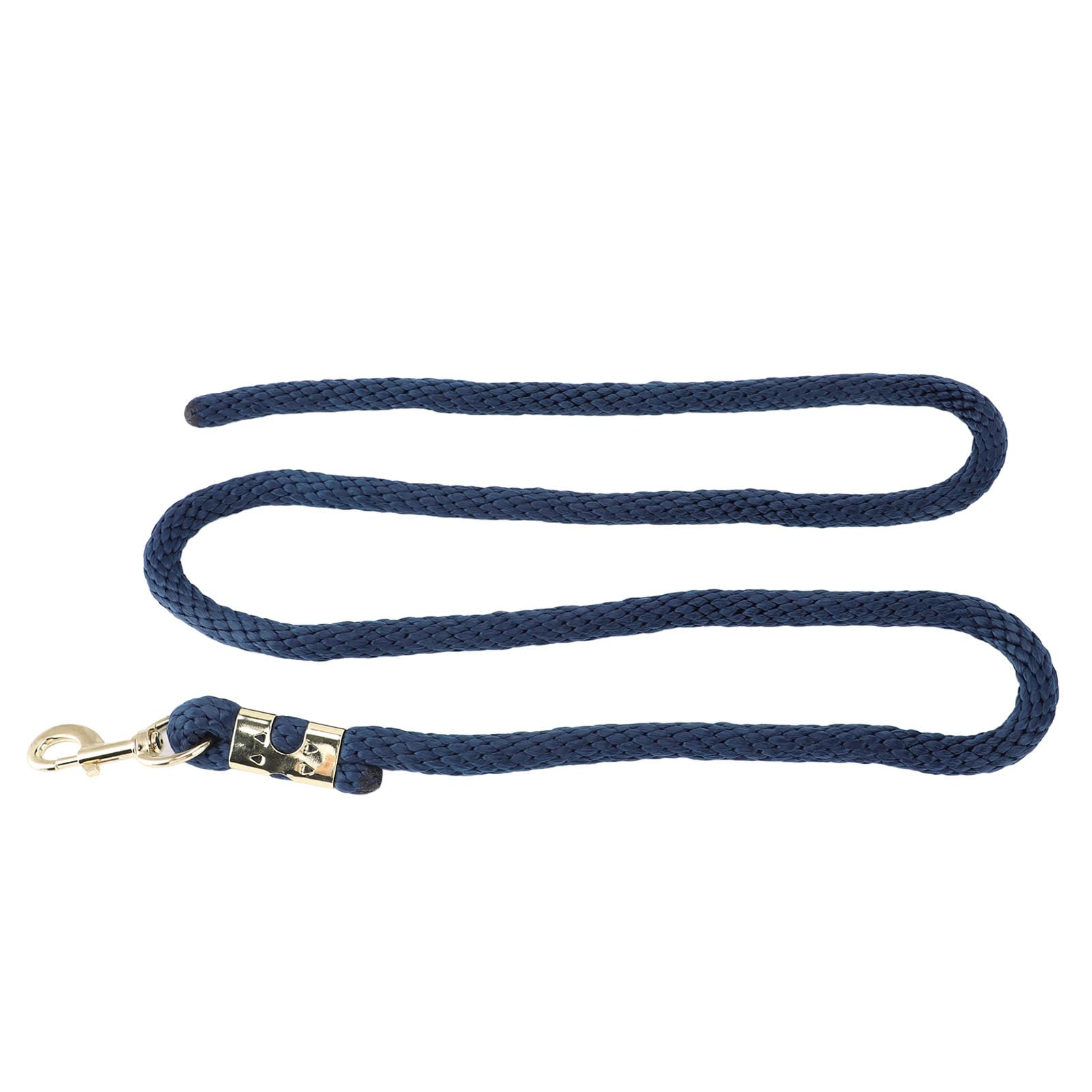 Horse Lunge Line Corda antirottura con gancio Corda allenamento in acciaio inossidabile PP resistente 2 m per maneggiare i cavalli a piedi (Blu navy)