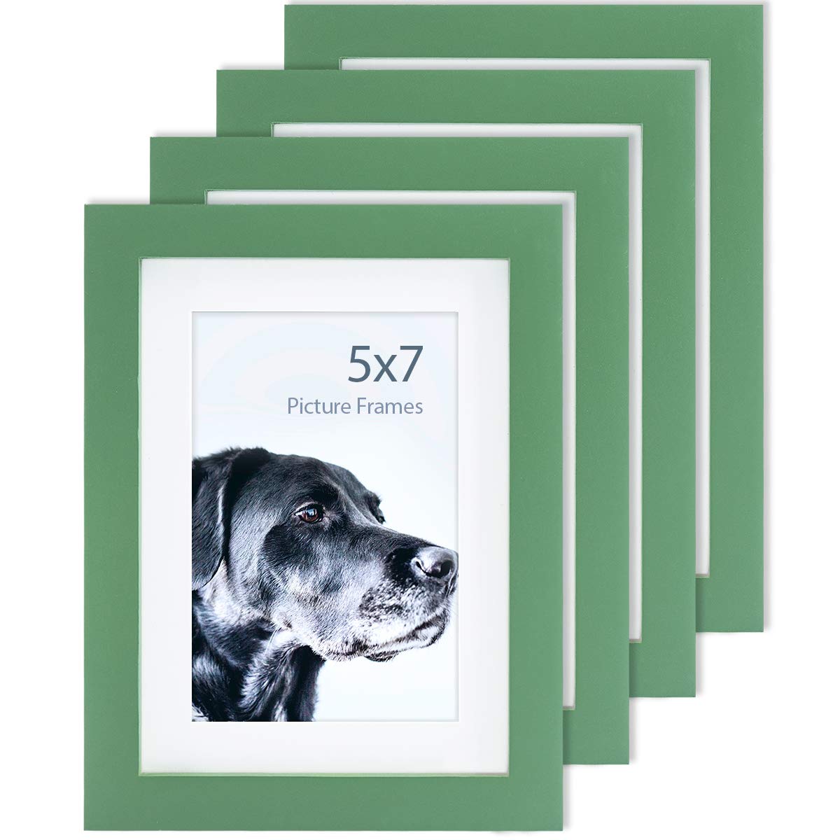 Amazon.com - 5x7 Green Picture Frames Nature Solid Wood 4 Pack for