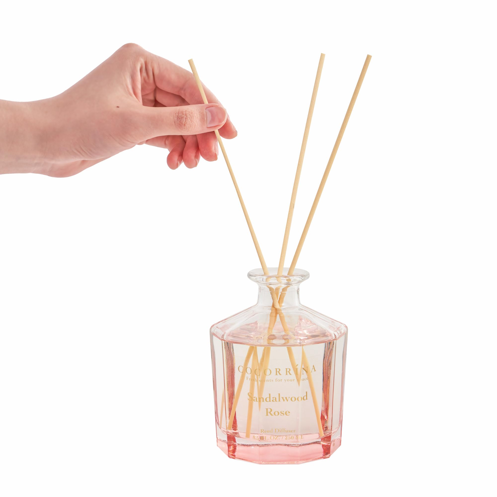 COCORRÍNA Schilfrohr-Diffusor – Sandelholz-Rose, 22 ml, Blumen-Diffusor-Set mit 8 Stäbchen, Raumduft, Schilfrohr-Diffusor für Zuhause, Schlafzimmer, Büro, Badezimmer, Regal-Dekor (Master-Kollektion)