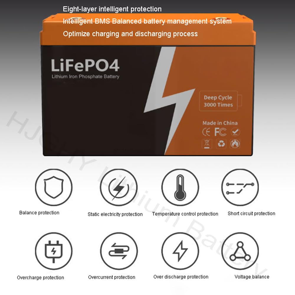 Batteria agli ioni di Litio LiFePO4 25,6 V 100 Ah 200 Ah Batteria al Litio Ferro fosfato per Camper, Nautica, accumulo di energia Domestica