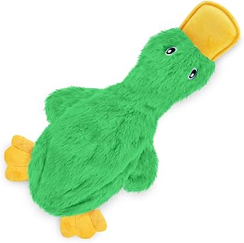 Ducky Dog Toy