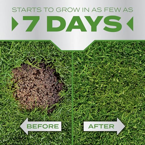 Scotts PatchMaster Lawn Repair Mix Tall Fescue Mix, 4.75 lbs. - image 3
