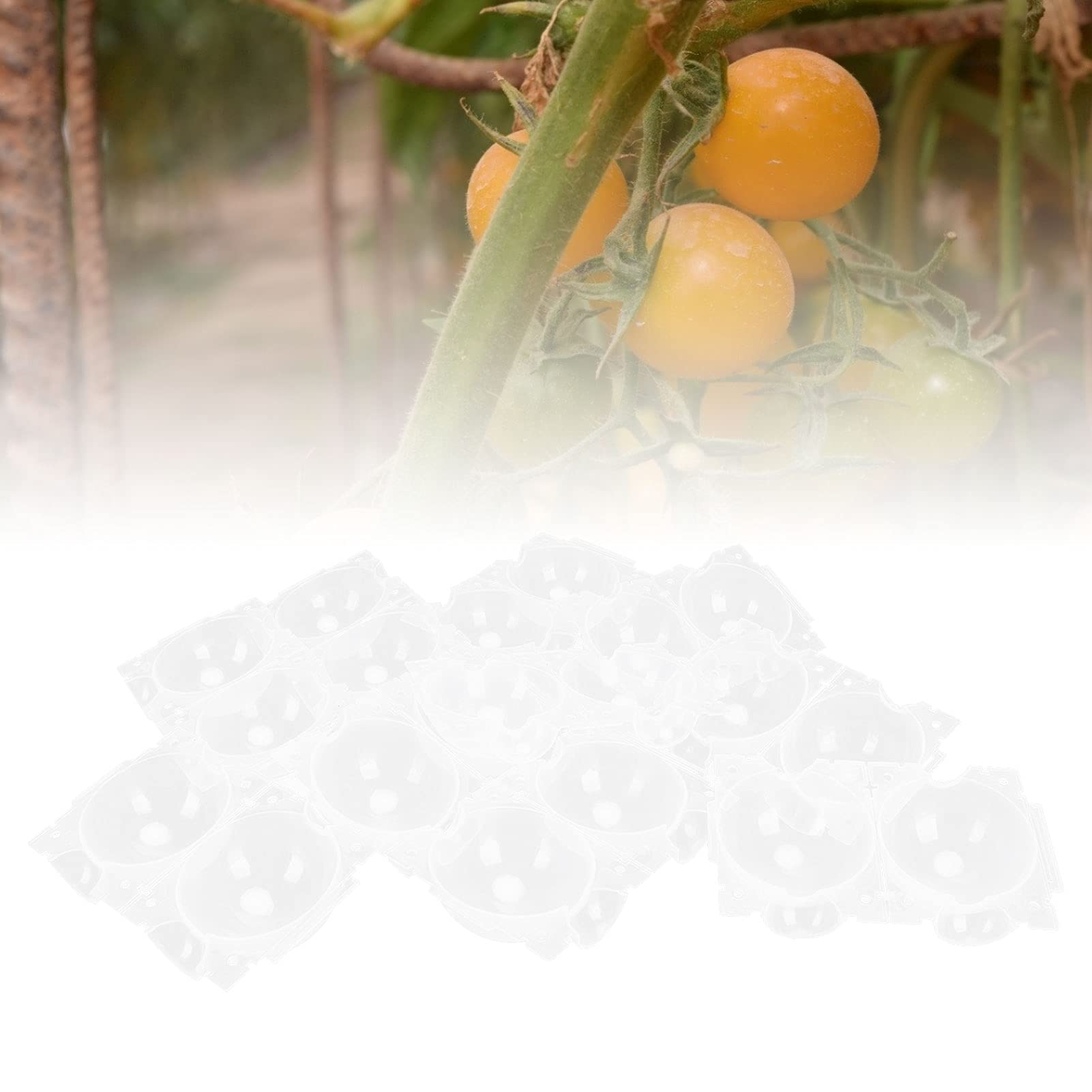 10 Pcs Vert Boîte De Greffe De Plantes Boule De Propagation Des Racines Usine Boule De Greffage à Propagation Racinaire Marcottage Aérien Enracinement Boule De Croissance Petit Motte (M