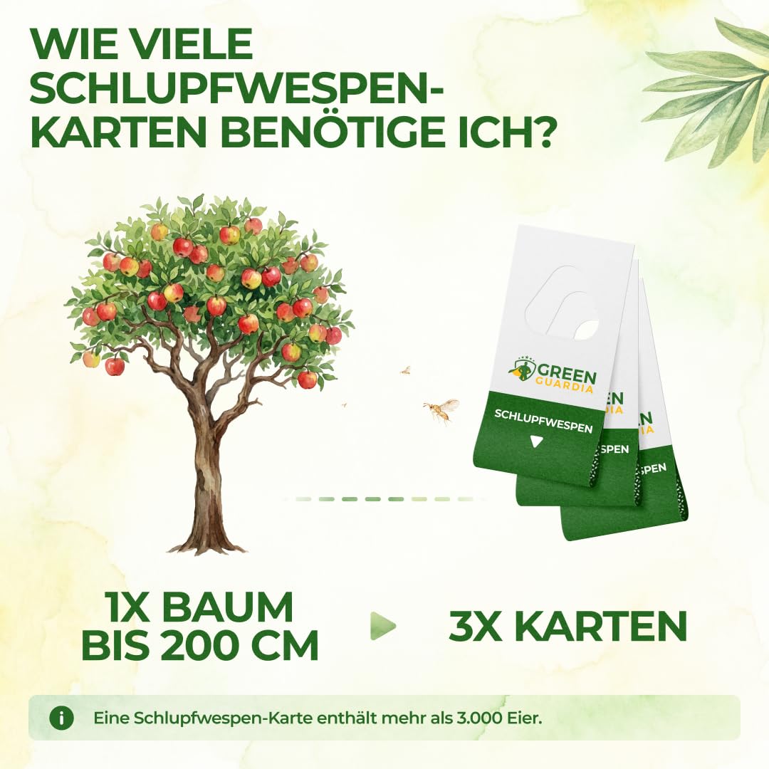 GREEN GUARDIA Schlupfwespen gegen Apfelwickler - 3 Karten à 3 Lieferungen - Effektive Bio-Bekämpfung gegen Apfelwickler, Alternative zu Apfelwicklerfalle, Spritzmitteln, Nematoden & Pheromonfallen