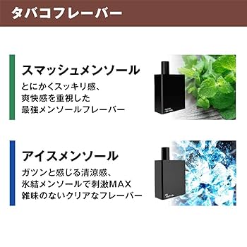 ニコラテスラ　電話タグ　2個　ブルー テスラ 電話タグ 2個入り テスラ 電話タグ 2個入り