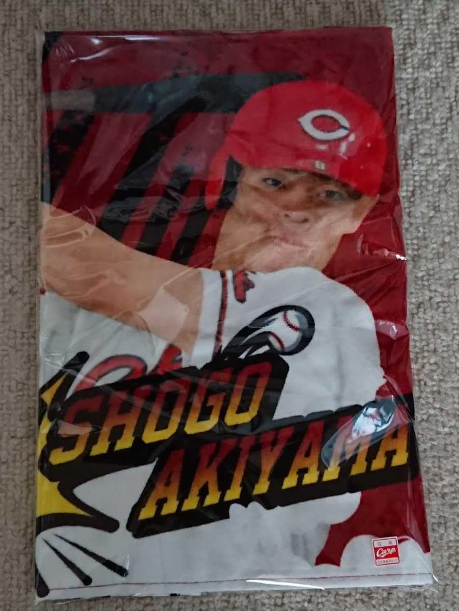 カープファン感データオル2023