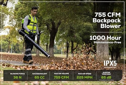 GREENWORKS Commercial Optimus 82v 36N Backpack Leaf Blower Core530 DP Kit BB361-C5DP (CORE TECH Batteries)