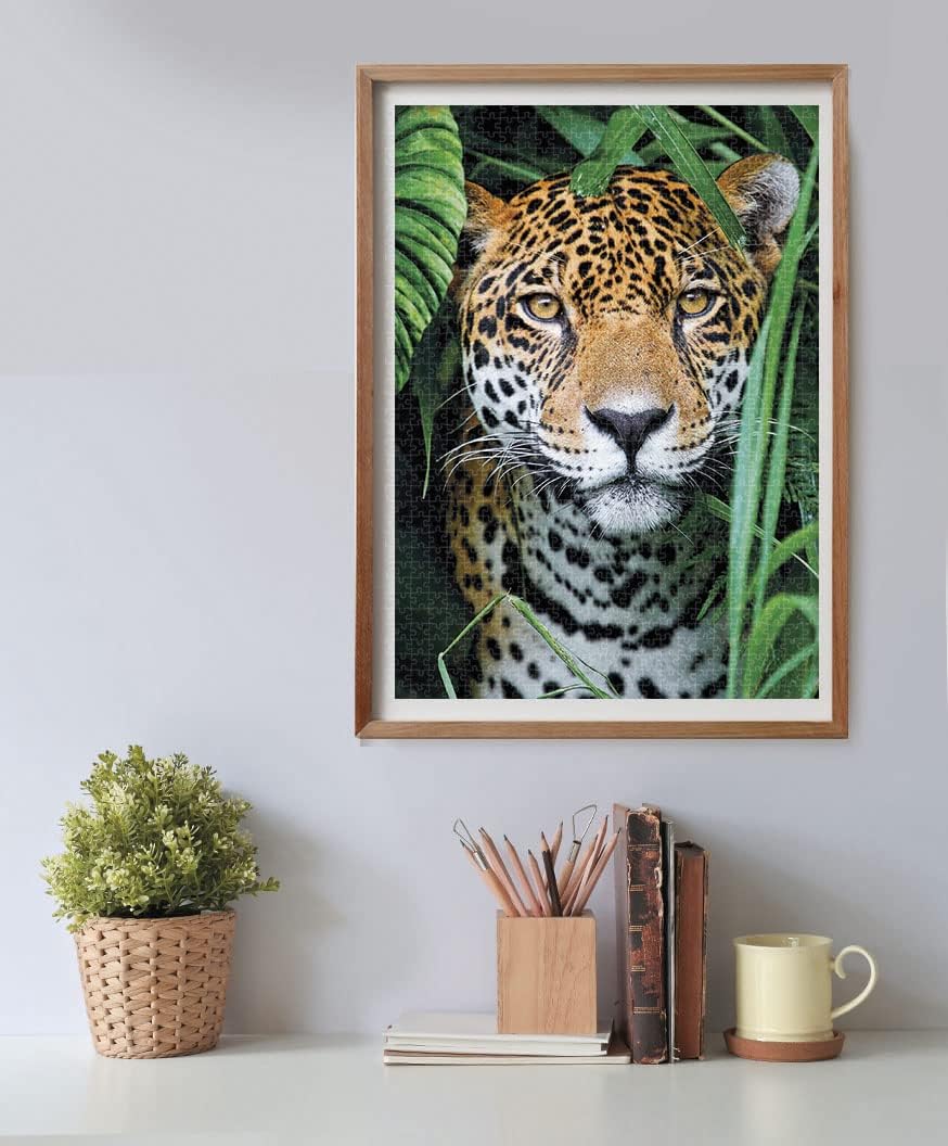 Clementoni - 35127 Collection Puzzle Jaguar in The Jungle - Jigsaw Puzzle 500 Pieces, Made in Italy, Jigsaw Puzzle for Adults