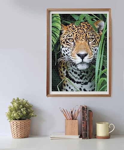 Miniatura 3 de Clementoni - 35127 Colección Puzzle Jaguar in The Jungle - Rompecabezas de 500 piezas, fabricado en Italia, rompecabezas para adultos