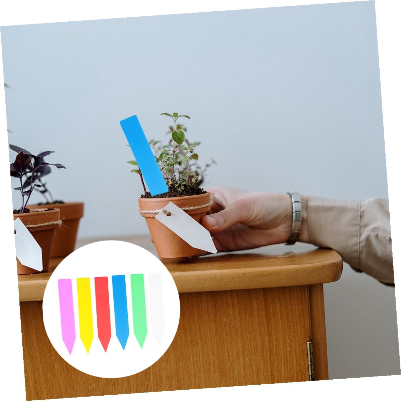 600pcs Plastic Plant Labels Stakes for Garden and Potted Plants 10x1.8cm Set (red, Yellow, Blue, Pink, White, Green)